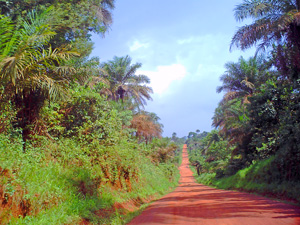 Road from Bo to Cambama